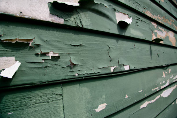 Best Steel Siding Installation  in Redway, CA